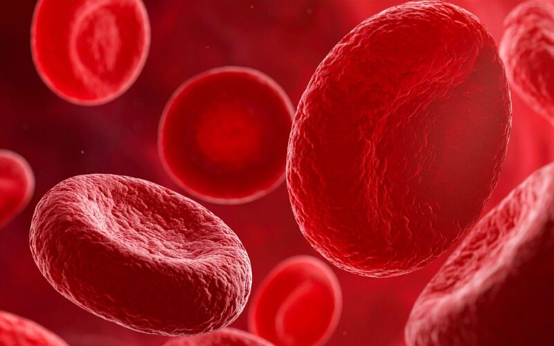Cáncer y la Muerte Celular